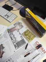 DARIA P. review photo
