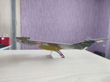 DARIA P. review photo
