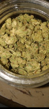 Zanzabardavis review photo