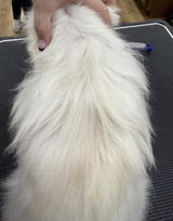 Kimberly Sc review photo