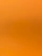 Y***a review photo