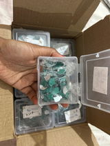 Monali review photo