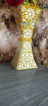 Renu review photo