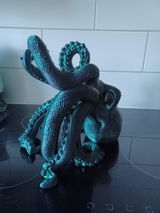 Etsy customer review photo
