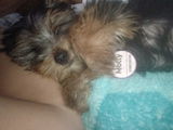MARIA BEATRIZ CUADRADO CORTES review photo