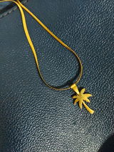 Angel review photo