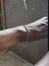 Pinaki Biswas review photo