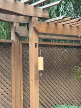 Carina review photo