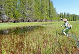 Miss Mayfly® Moxie Wading Pant©