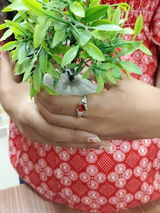 Jaya review photo