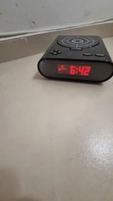 Ray P. review photo