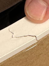 Chiara B. review photo