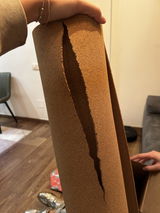 Janna S.C. review photo