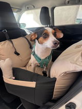 Milo review photo