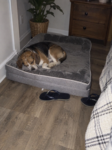 Max review photo