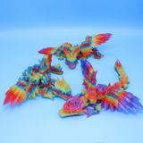 Dxxxxx B review photo