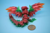 Dxxxxx B review photo