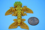 Dxxxxx B review photo