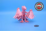 Dxxx H review photo