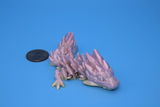 Axxxxx C review photo
