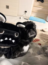匿名 review photo