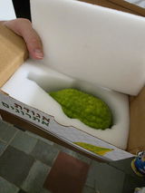 Daniel Hefter review photo