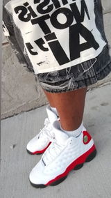 Niketea Steward review photo
