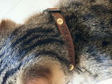 Anonyme review photo