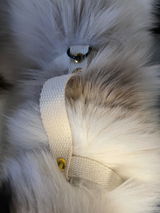 Miya Cats · Harnais H