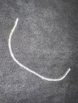 Sheldon Robinson review photo