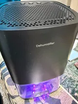 D***s review photo