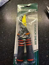 V***a review photo