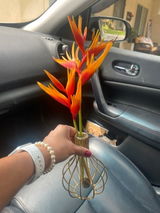 The Original Metal Wire Decorative Glass Tube Vase