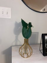 The Original Metal Wire Decorative Glass Tube Vase