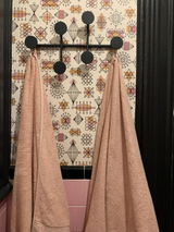 Modern Black Metal Wall Coat Rack