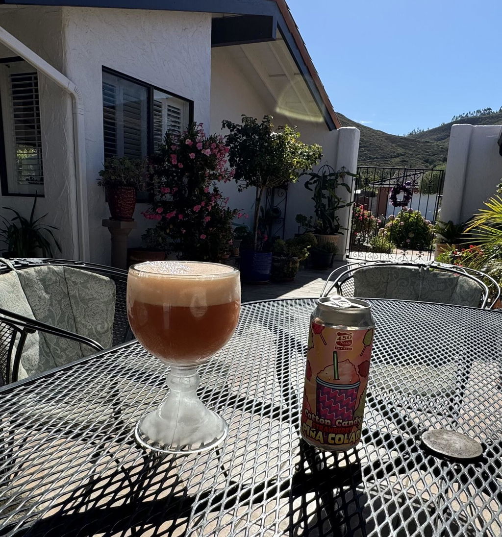 450 North Cotton Candy Strawberry Piña Colada Sour Beer 16 fl oz