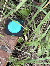 Gianfranco Videtta review photo