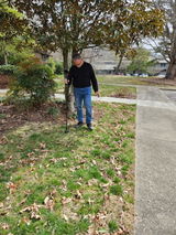 Bruce Lowe review photo