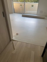 知美 加藤 review photo