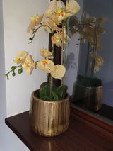 Florentina Brad review photo