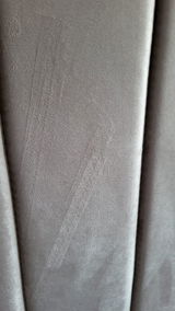 brindusa voicu review photo