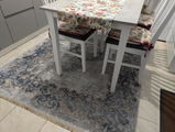 Petru Ciobanu review photo