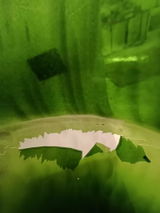 Mihaela review photo