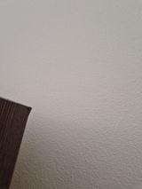 Vlad review photo