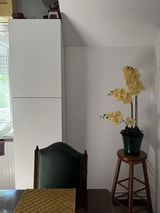 Alida Marcu review photo