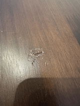 M.O. review photo