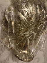 Mihut Gabriela review photo