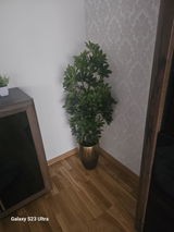 Constantin review photo