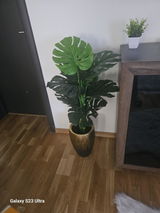 Constantin review photo