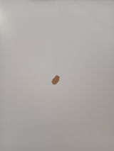 Alin review photo